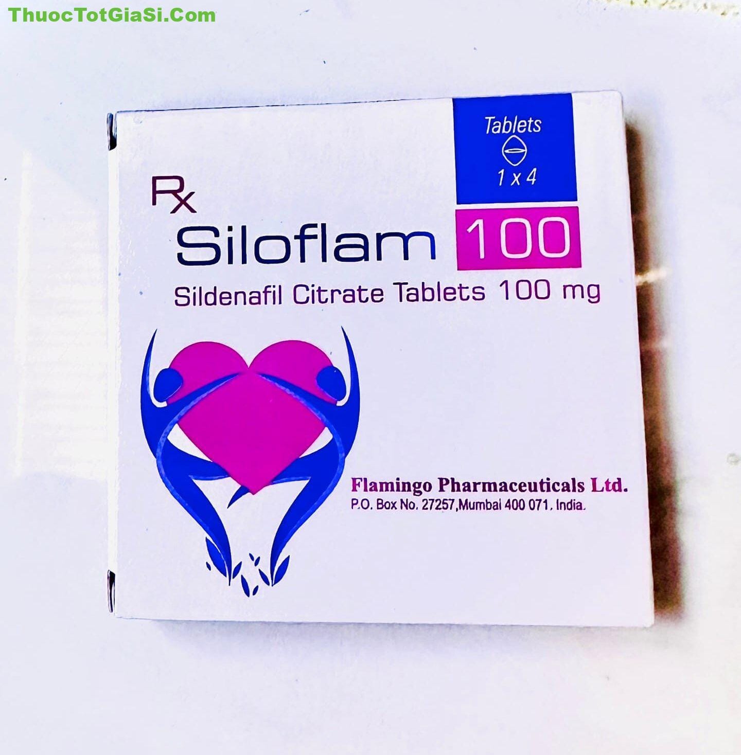 Siloflam 100 Siloflam 100