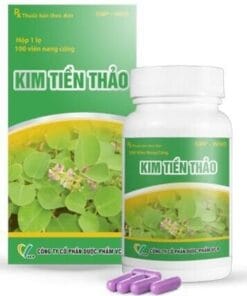 KIM TIỀN THẢO VCP H100v điều trị sỏi thận, sỏi bàng quang, lợi tiểu
