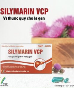 Silymarin VCP 140mg (Sylimarin 140) - Tăng cường chức năng gan, Giải độc gan , Xơ gan mạn tính H100v 1 z5505469084549 cb39e28517c831c7576aed914f5da760