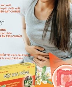 Mộc Hoa Trắng VCP H60v điều trị đại tràng cấp tính, lỵ amip, đau quặn bụng