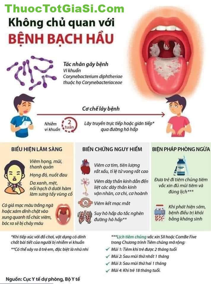 Nguyên nhân, triệu chứng, cách phòng chống dịch bạch hầu ở Việt Nam 1 nguyen nhan trieu chung cach phong chong dich benh bach hau 2195 3