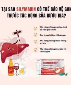 Silymarin VCP (Sylimarin 140 mg) hộp 100 viên giải độc gan, hạ men gan