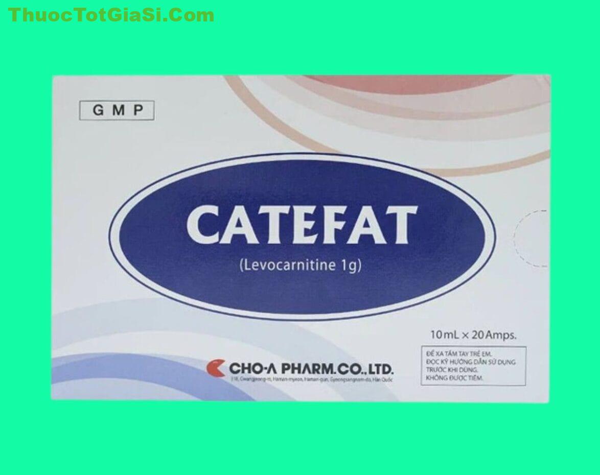 thuoc-catefat-1g-levocarnitine-hop-20-ong-x-10ml-3849 thuoc catefat 1g levocarnitine hop 20 ong x 10ml 3849 e1742378257170