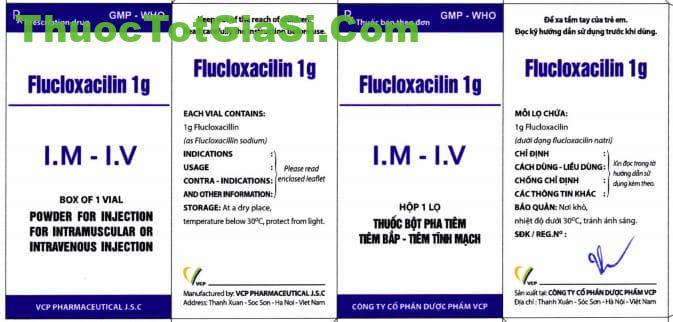 thuoc-flucloxacillin-1g-vcp-4121 thuoc flucloxacillin 1g vcp 4121
