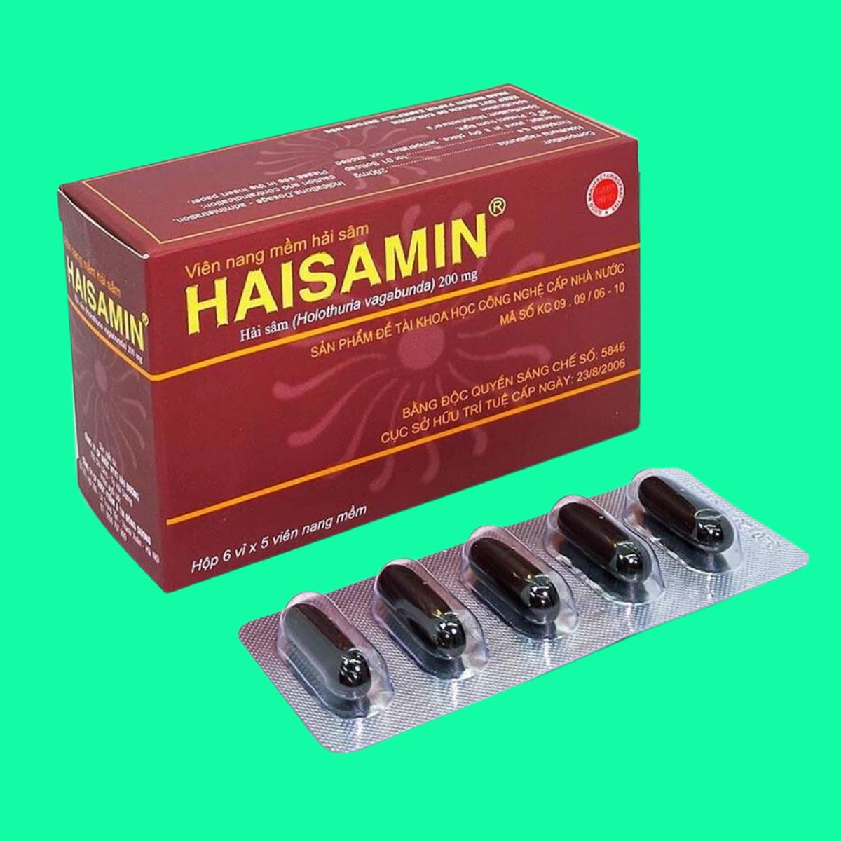 Thuốc Haisamin 200mg (Hải Sâm) tăng cường sinh lực, tráng dương, bồi bổ sức khỏe 3 Thuốc Haisamin 200mg | thuoctotgiasi.com