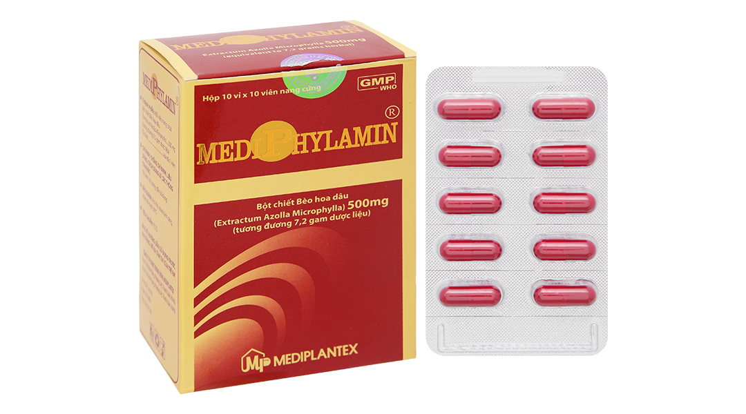 MEDIPHYLAMIN 500mg Mediplantex | THUOCTOTGIASI.COM