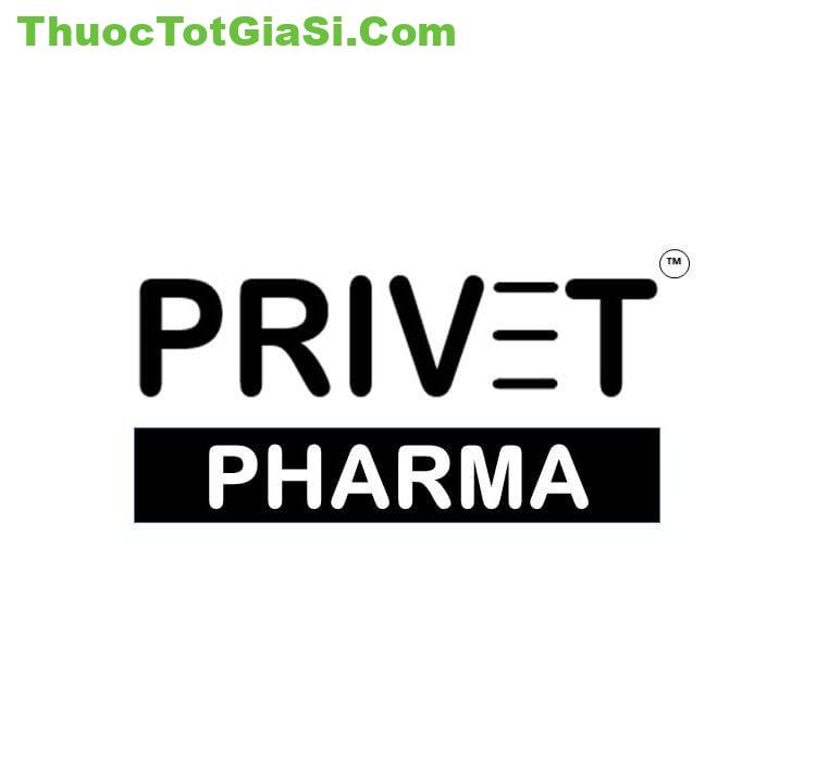 Privet Pharma - Thương hiệu Thuốc chất lượng, giá tốt 2 Privet Pharma thương hiệu gì? | THUOCTOTGIASI.COM