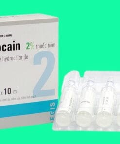 Thuốc Gây Tê Lidocain Egis – Hiệu Quả Nhanh, An Toàn, Chính Hãng Tại ThuocTotGiaSi.com