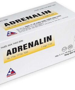 Thuốc tiêm Adrenalin (Epinephrine) VINPHACO hộp 5 vỉ x 10 ống x 1ml 2 adrenalin
