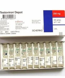 Testoviron Depot 250mg (Testosterone enanthate) hộp 3 ống x 1ml 1 testoviron depot 250mg testosterone enanthate hop 3 ong x 1ml 7292 3 e1757335571673