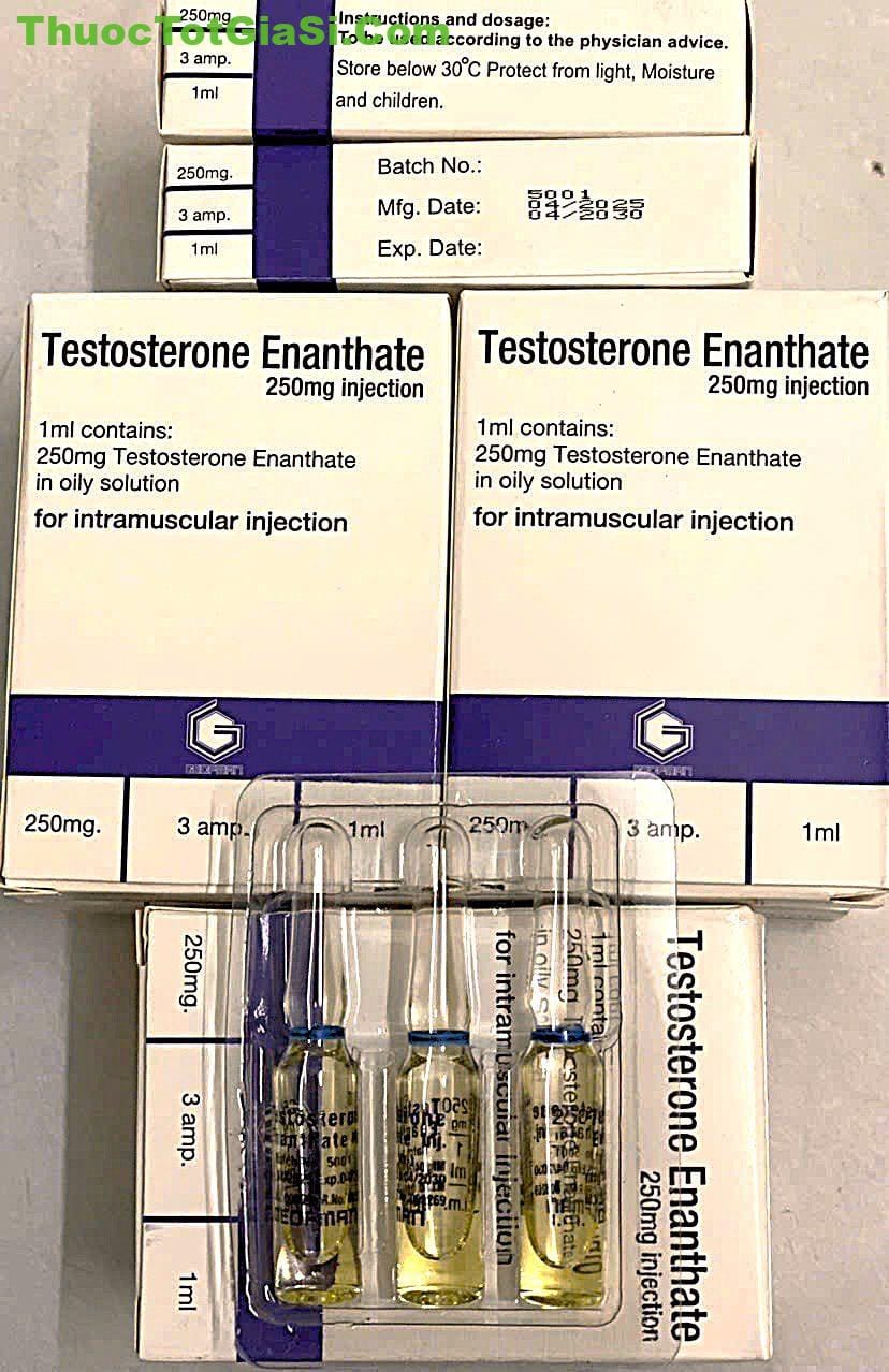 Testosterone Enanthate 250mg Testosterone Enanthate 250mg