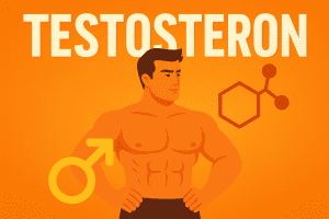Testosteron là gì? Công dụng – Dấu hiệu thiếu – Cách tăng tự nhiên & bằng thuốc 2 Testosteron là gì? Công dụng – Dấu hiệu thiếu – Cách tăng tự nhiên & bằng thuốc