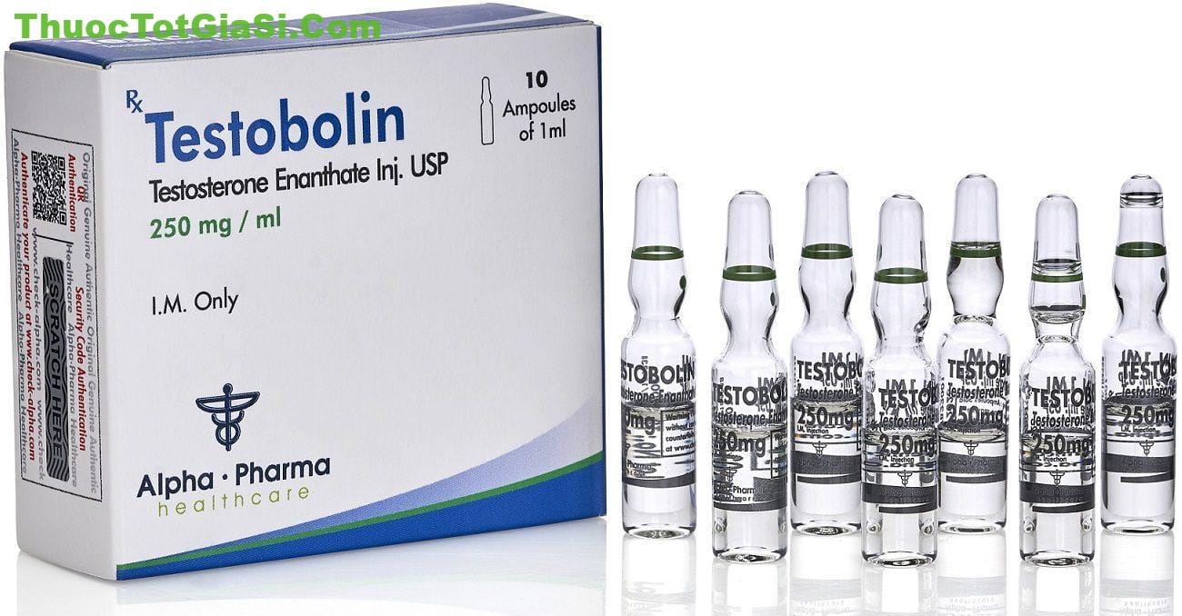 testobolin-250mg-ml-testosterone-enanthate-hop-10-ong-tiem-chinh-hang-alpha-pharma-10286 Testobolin 250mg/ml (Testosterone Enanthate) – Hộp 10 Ống Tiêm Chính Hãng Alpha Pharma