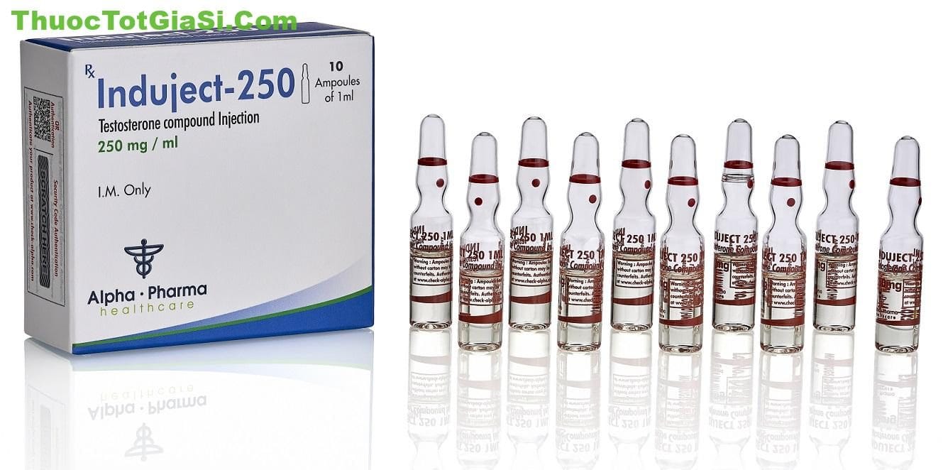 induject-250-la-thuoc-gi-cong-dung-lieu-dung-va-gia-ban-moi-nhat-10779-2 Induject-250 là thuốc gì? Công dụng, liều dùng và giá bán mới nhất