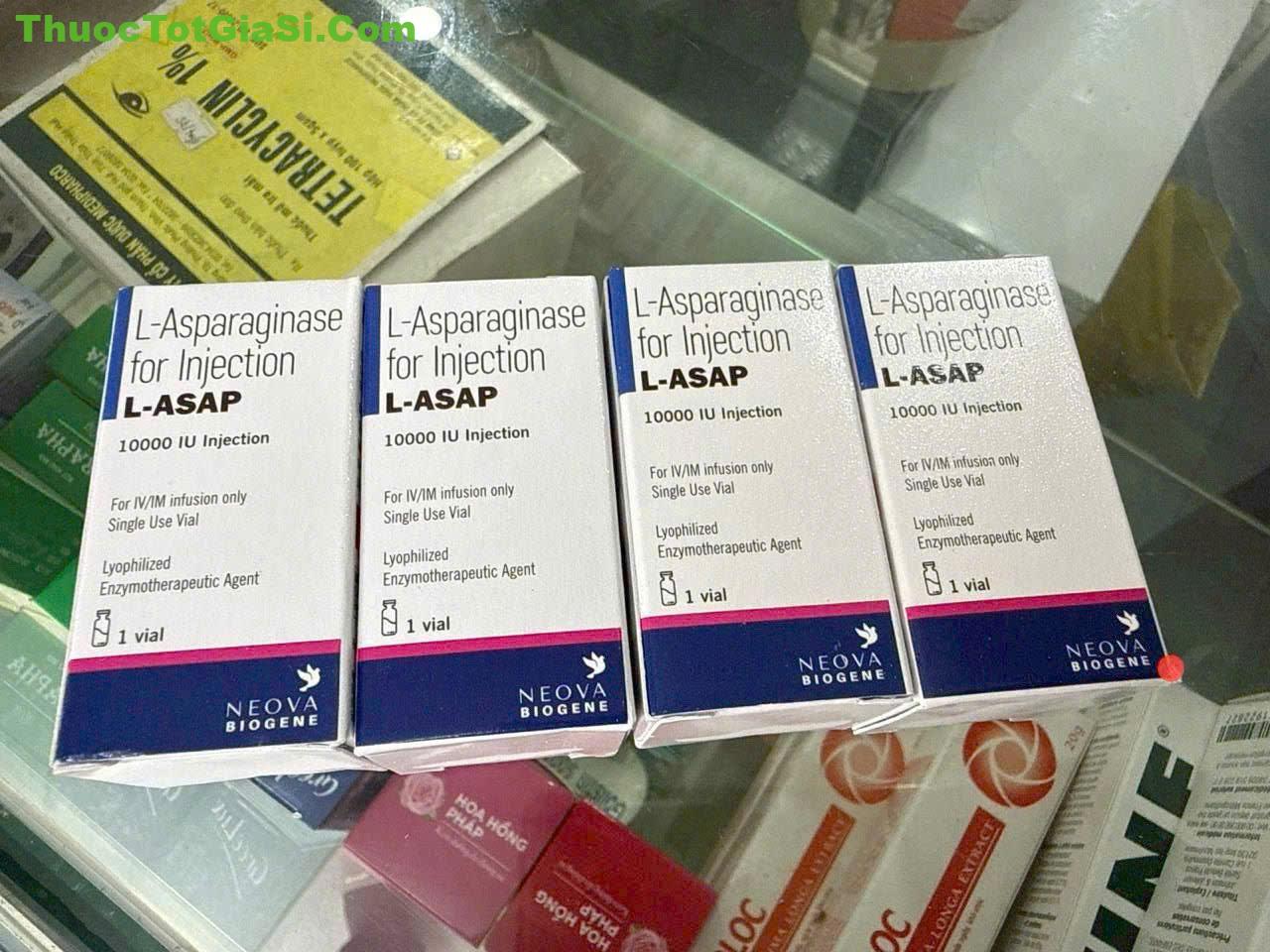 L -ASAP L-Asparaginase|thuoctotgiasi.com