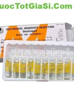Oestradiol Benzoate Injection 5mg – Thuốc Tiêm Nội Tiết Estrogen