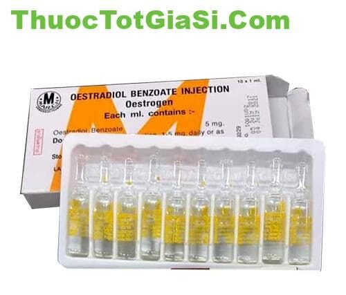 oestradiol-benzoate-injection-5mg-thuoc-tiem-noi-tiet-estrogen-12052-1 Oestradiol Benzoate Injection 5mg – Thuốc Tiêm Nội Tiết Estrogen