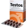Testos 40mg (Testosterone Undecanoate 40mg) | Công dụng, Giá bán