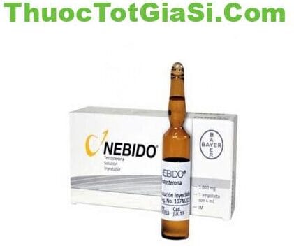 nebido-1000mg-4ml-la-thuoc-gi-cong-dung-thanh-phan-va-luu-y-su-dung-14132-4 Nebido 1000mg/4ml là thuốc gì? Công dụng, thành phần và lưu ý sử dụng