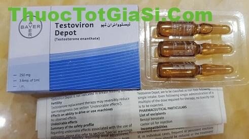 testoviron-depot-250mg-obs-testosterone-enanthate-gia-ban-cong-dung-mua-chinh-hang-14497-2 Testoviron Depot 250mg OBS| Testosterone Enanthate – Giá bán, Công dụng, Mua chính hãng