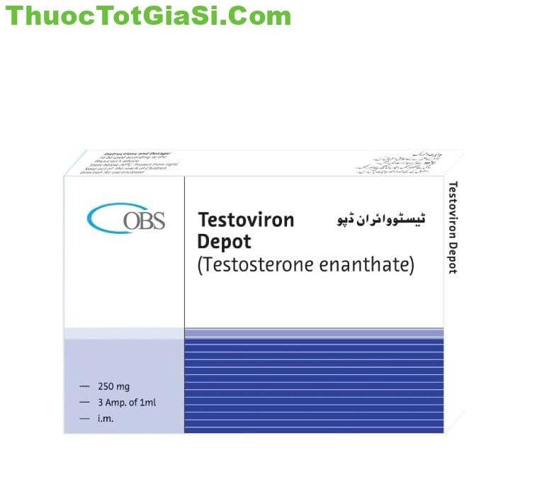 testoviron-depot-250mg-obs-testosterone-enanthate-gia-ban-cong-dung-mua-chinh-hang-14497-3 Testoviron Depot 250mg OBS| Testosterone Enanthate – Giá bán, Công dụng, Mua chính hãng