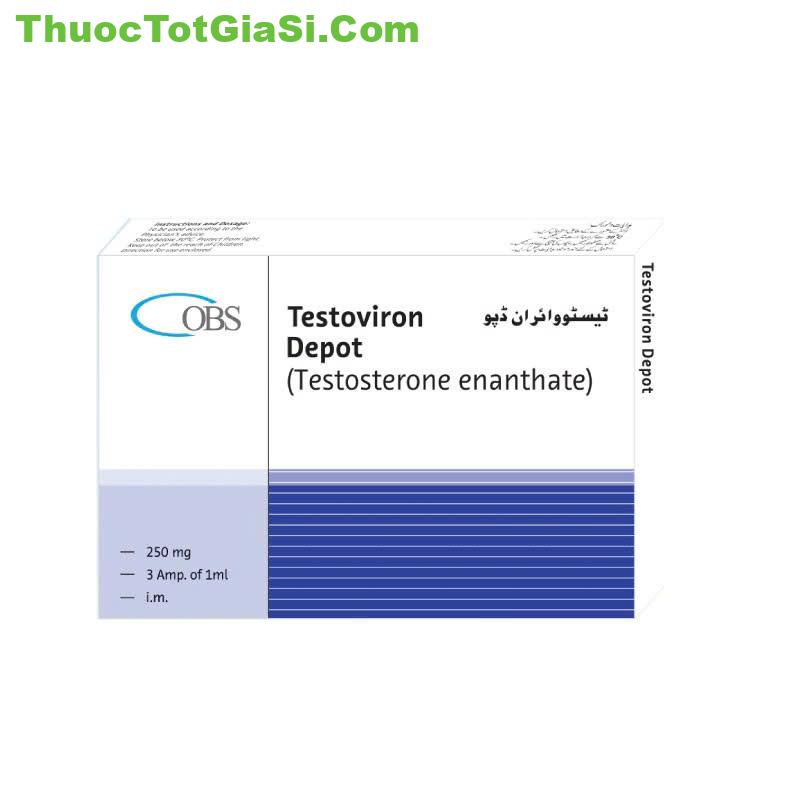 Testoviron Depot 250mg OBS| Testosterone Enanthate – Giá bán, Công dụng, Mua chính hãng 4 Testoviron Depot 250mg OBS| Testosterone Enanthate – Giá bán, Công dụng, Mua chính hãng